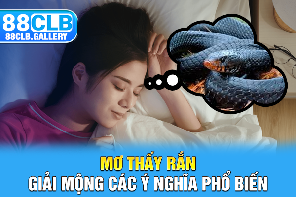 Mơ thấy rắn giải mộng các ý nghĩa phổ biến